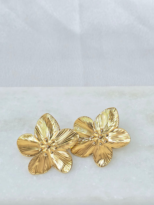 Boucles d'Oreilles Hanaé