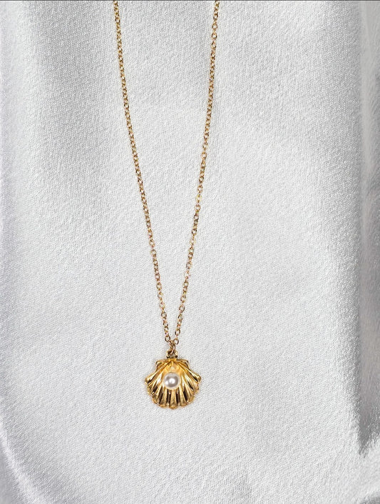 Collier chaîne fine avec coquillage et perle